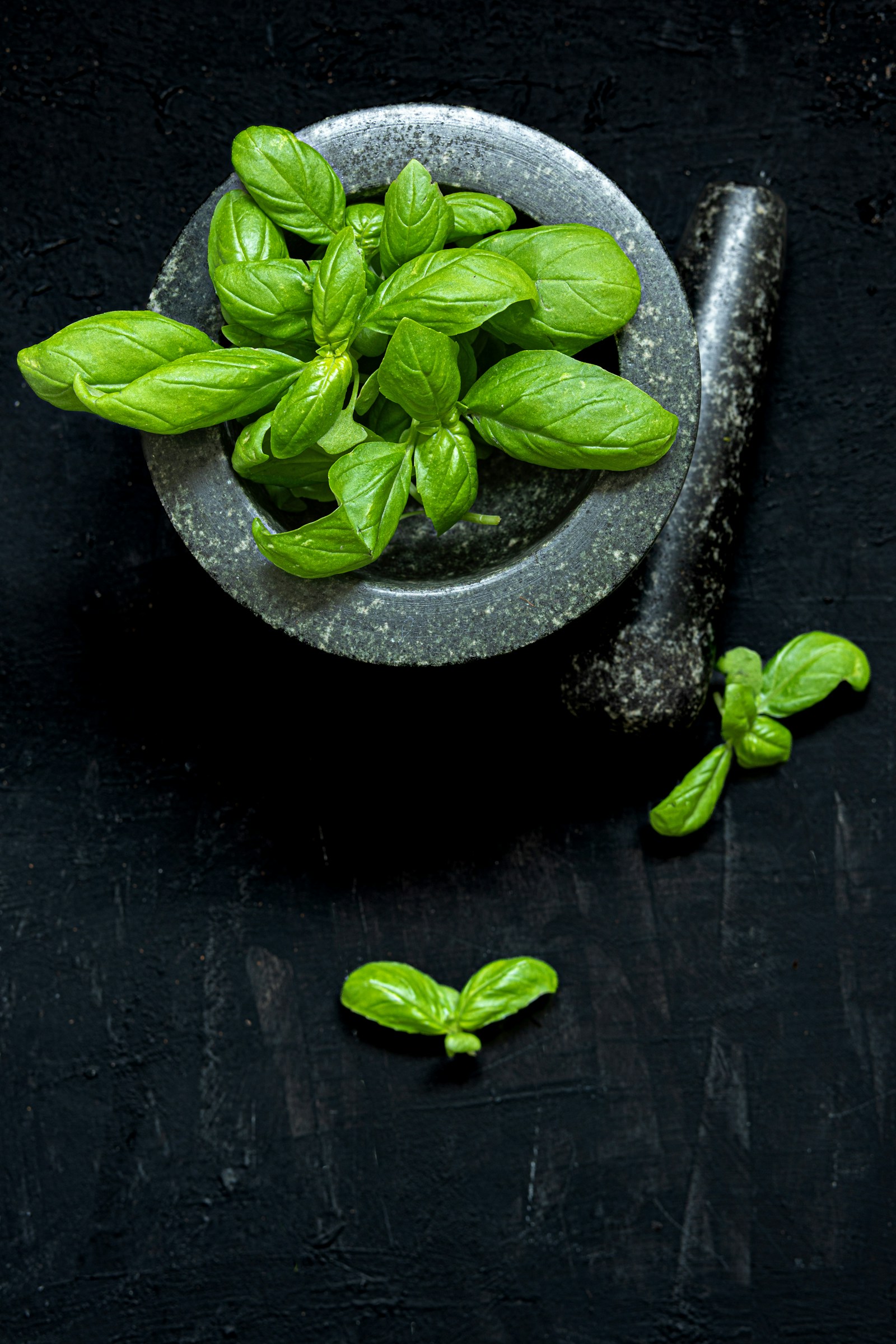 Stone mortar and pestle filled with fresh green basil leaves